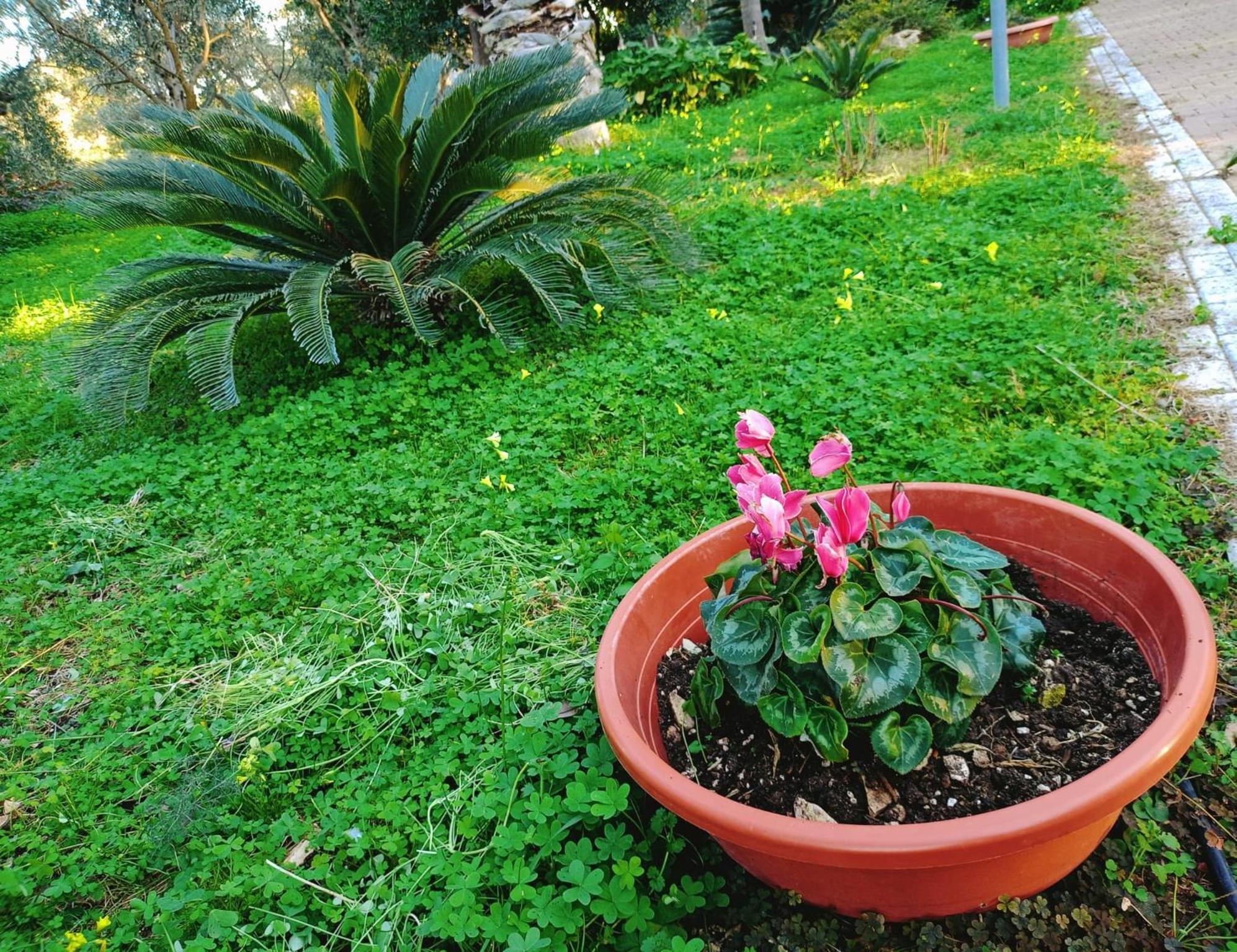 B&B Verdeoliva Modugno Esterno foto